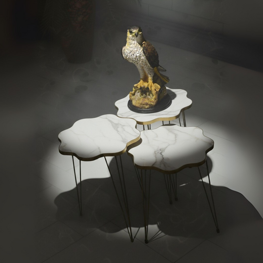 Modern High Gloss Flower Shape Coffee Table Set of 3 OR 1 PC White/Black Side table / Coffee Table