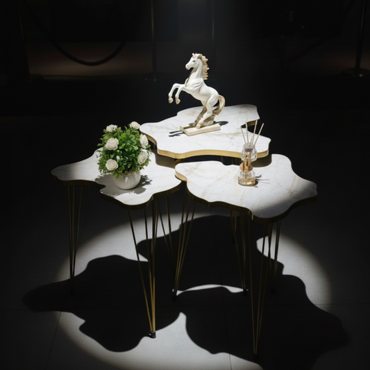 Modern High Gloss Map Shape Coffee Table Set of 3 OR 1 PC White/Black Side table / Coffee Table