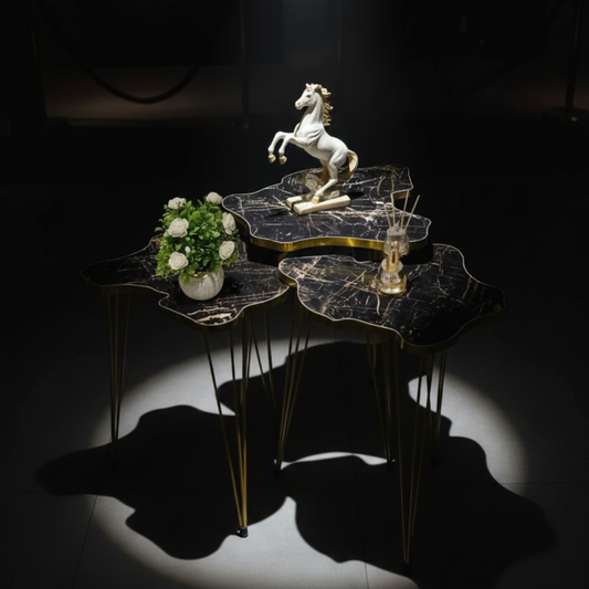 Modern High Gloss Map Shape Coffee Table Set of 3 OR 1 PC White/Black Side table / Coffee Table