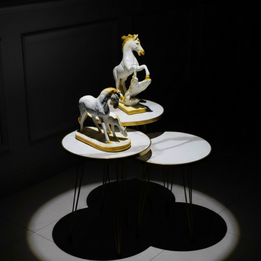 Modern High Gloss Round Shape Coffee Table Set of 3 OR 1 PC White/Black Side table / Coffee Table