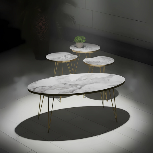 Modern High Gloss Ellipse With Round Coffee Table Set of 4 White/Black Tables Set / Coffee Table